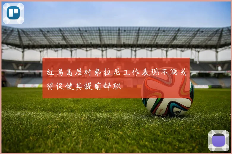 红鸟高层对弗拉尼工作表现不满或将促使其提前辞职