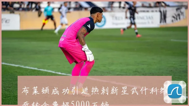 布莱顿成功引进热刺新星武什科维奇转会费超5000万镑