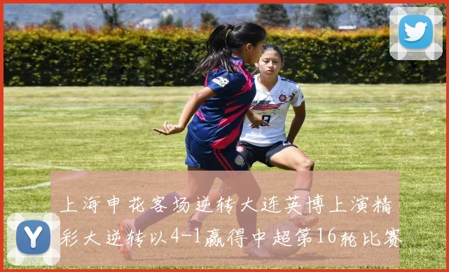 上海申花客场逆转大连英博上演精彩大逆转以4-1赢得中超第16轮比赛