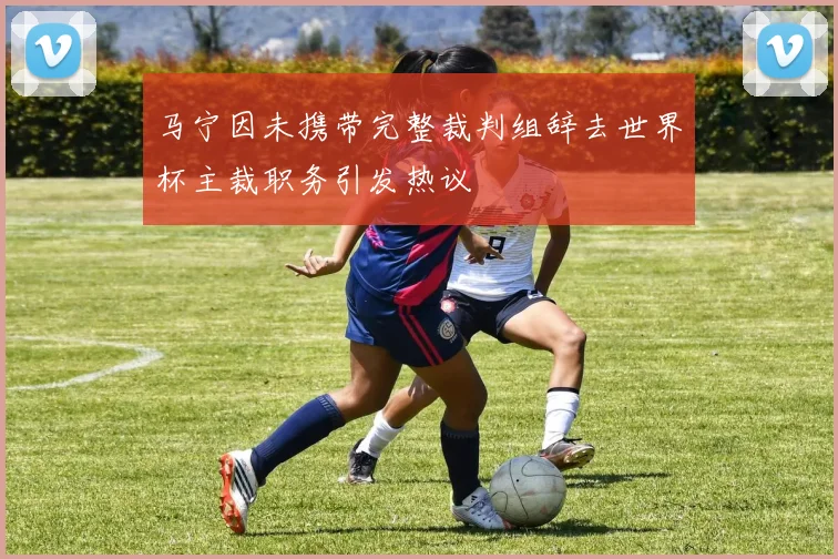 马宁因未携带完整裁判组辞去世界杯主裁职务引发热议